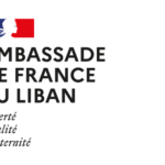 DÉCLARATION CONJOINTE À LA SUITE DE LA SÉRIE DE RÉUNIONS DES AMBASSADEURS DU QUINTETTE AVEC LES BLOCS POLITIQUES LIBANAIS