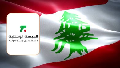 الجبهة الوطنية لإنقاذ الدولة